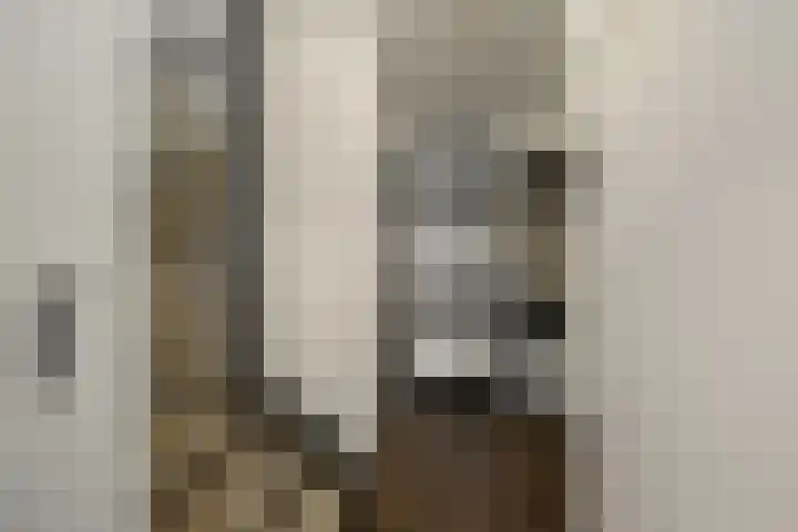 Kattestart 16 Gemert thumbnail 7