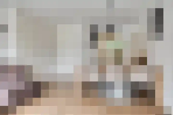 Kattestart 59 Gemert thumbnail 16