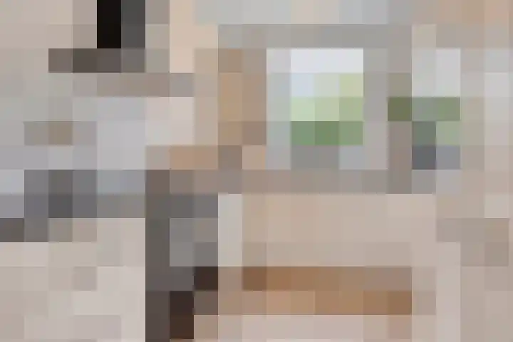 Kattestart 59 Gemert thumbnail 20
