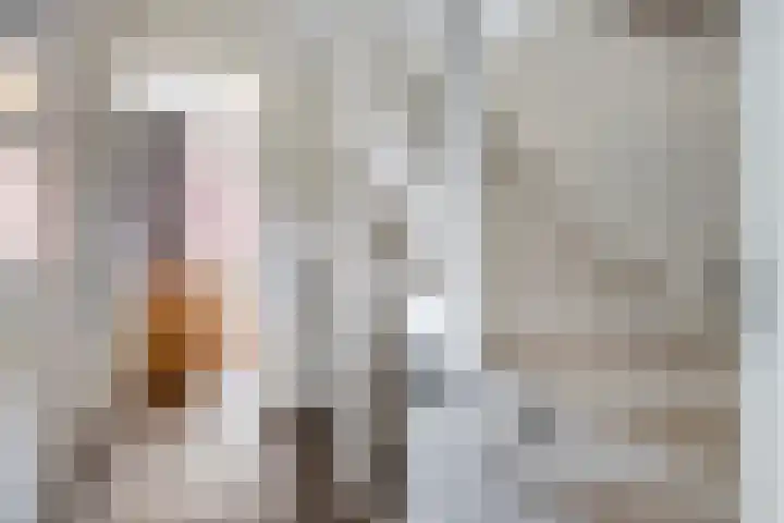 Kattestart 59 Gemert thumbnail 21