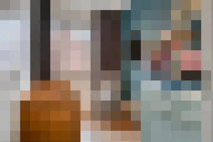 Kattestart 59 Gemert thumbnail 25