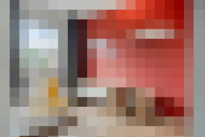 Kattestart 59 Gemert thumbnail 27