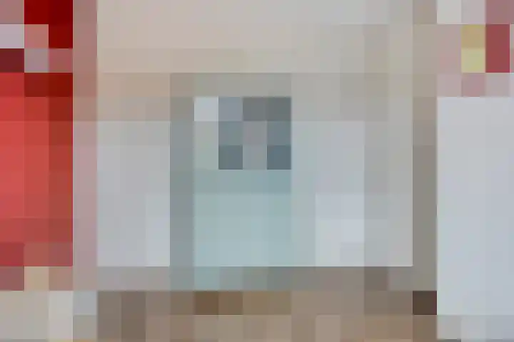 Kattestart 59 Gemert thumbnail 28