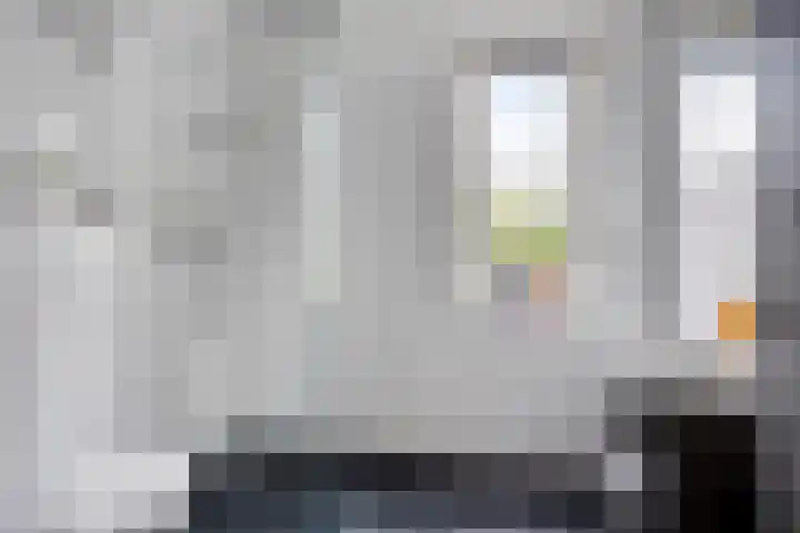 Kattestart 59 Gemert thumbnail 29