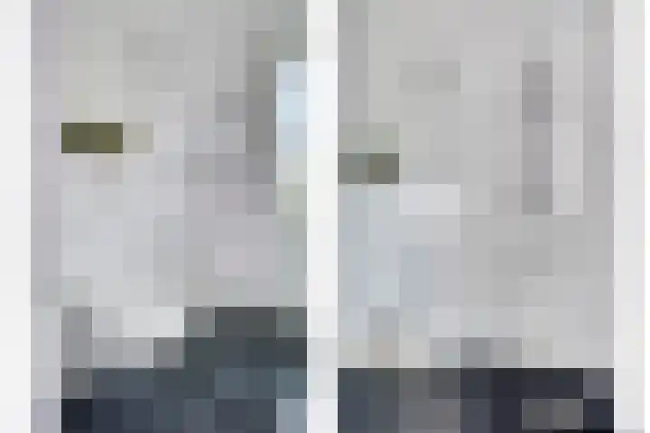 Kattestart 59 Gemert thumbnail 30