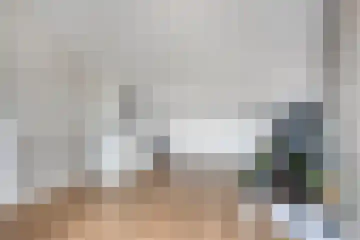 Kattestart 59 Gemert thumbnail 32