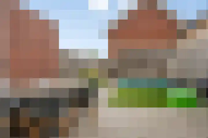 Kattestart 59 Gemert thumbnail 34