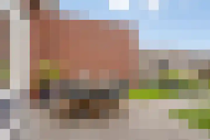 Kattestart 59 Gemert thumbnail 35