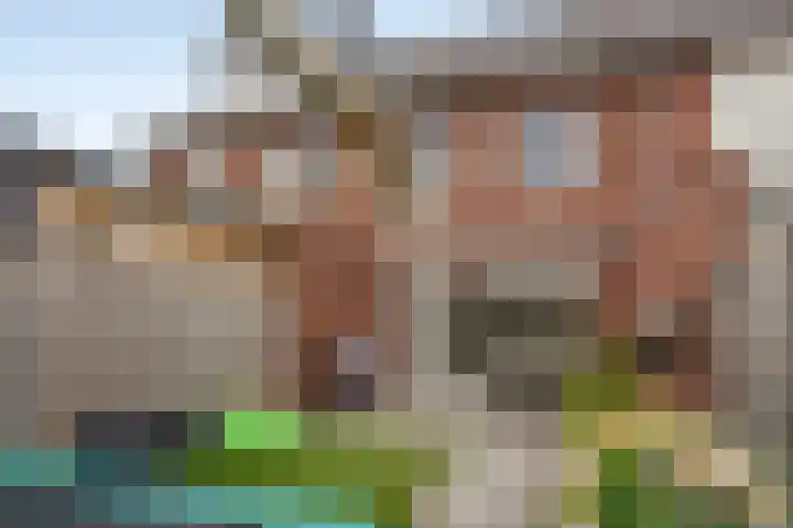 Kattestart 59 Gemert thumbnail 37