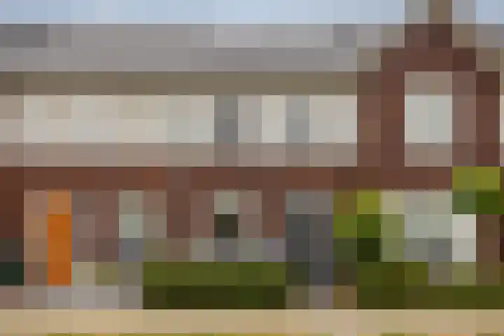 Kattestart 59 Gemert thumbnail 45