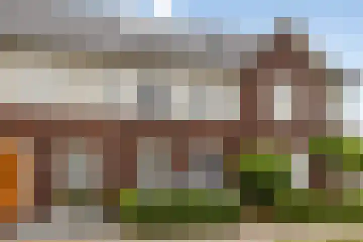 Kattestart 59 Gemert thumbnail 7