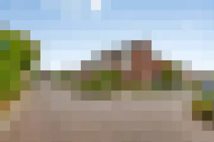 Kattestart 59 Gemert thumbnail 9
