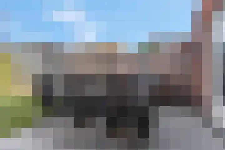 Katwijk 16 Haalderen thumbnail 32