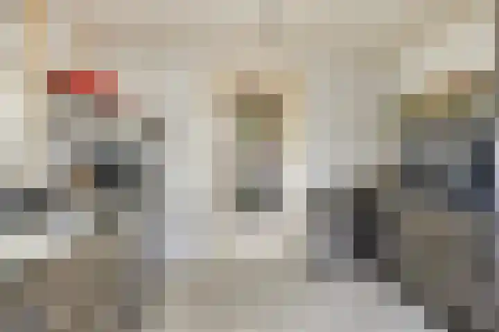Katwijkstraat 2 Oss thumbnail 22
