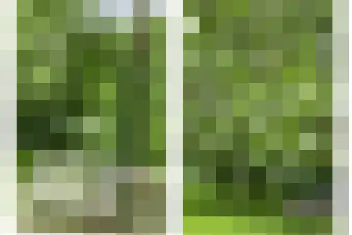 Katwijkstraat 2 Oss thumbnail 43