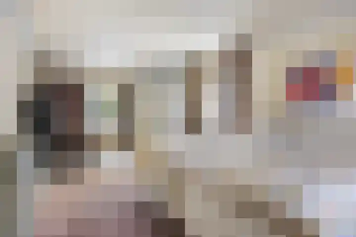 Katwijkstraat 2 Oss thumbnail 5