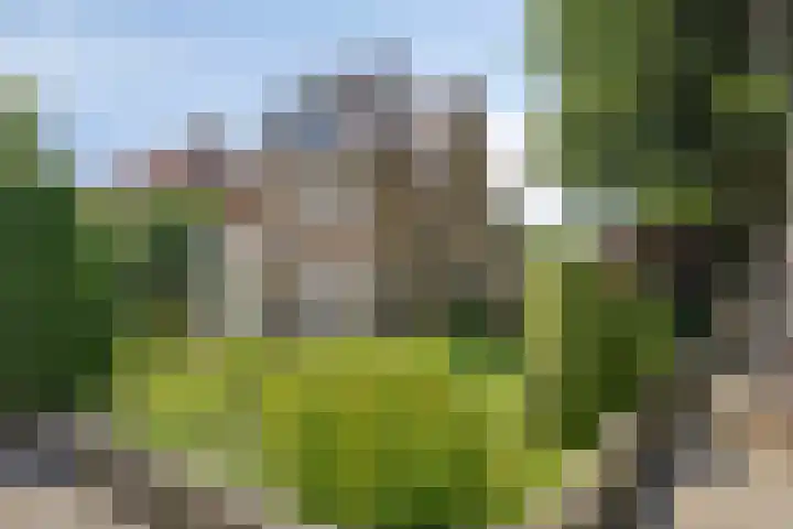 Katwijkstraat 2 Oss thumbnail 7