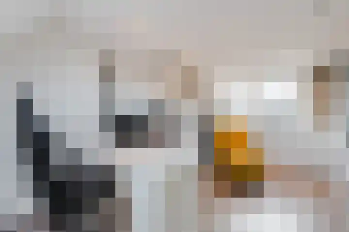 Kavelpad 29 Bodegraven thumbnail 24