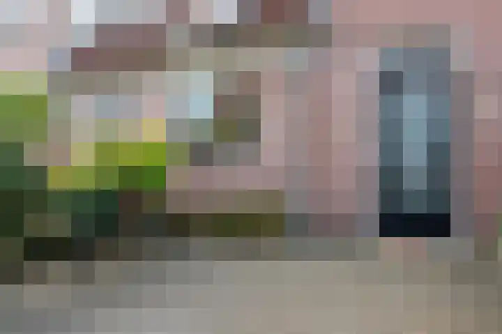 Kavelpad 29 Bodegraven thumbnail 7