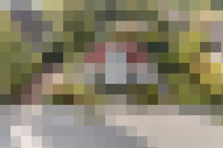 Kavelwei 22 dans Broeksterwâld