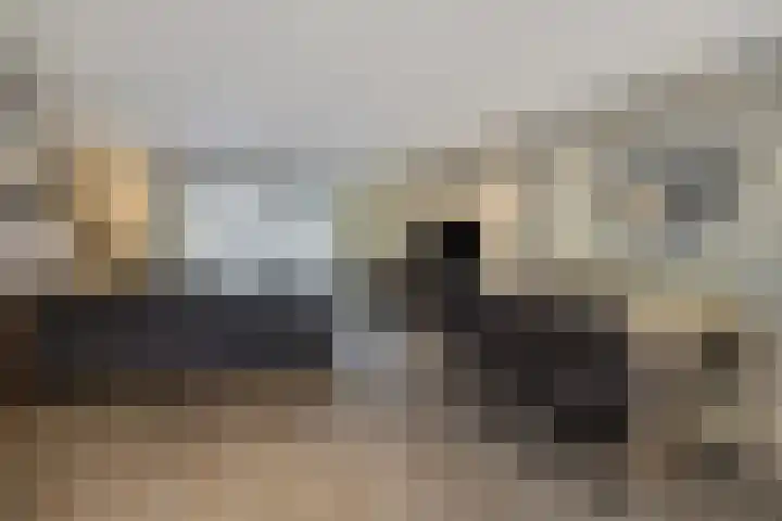 Kaweiseloop 6 Heesch thumbnail 12