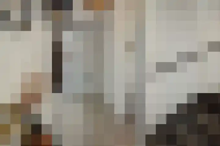 Kaweiseloop 6 Heesch thumbnail 16