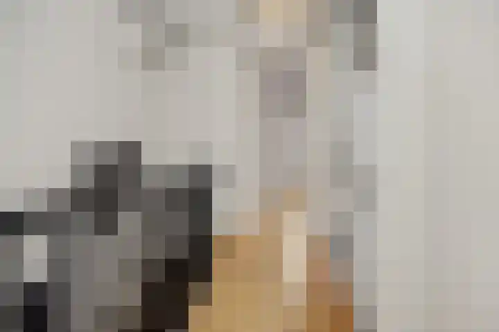 Kaweiseloop 6 Heesch thumbnail 17