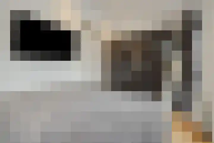 Kaweiseloop 6 Heesch thumbnail 19