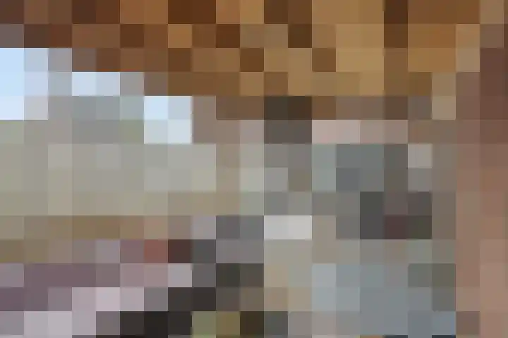 Kaweiseloop 6 Heesch thumbnail 29