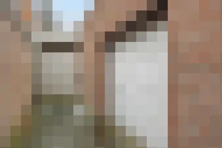Kaweiseloop 6 Heesch thumbnail 33
