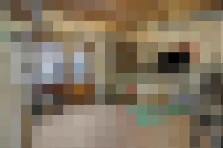 Kaweiseloop 6 Heesch thumbnail 35