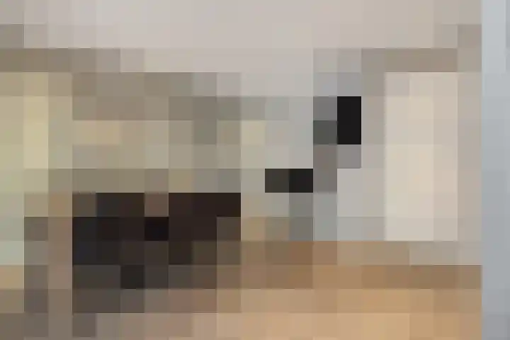 Kaweiseloop 6 Heesch thumbnail 5