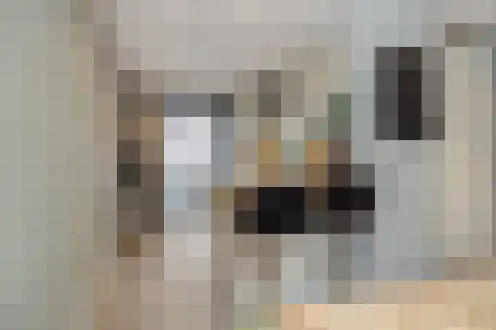 Kaweiseloop 6 Heesch thumbnail 6