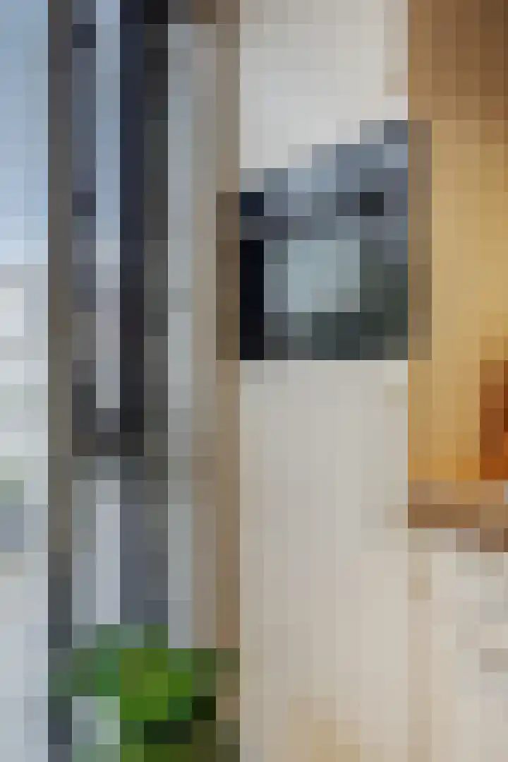 Kaweiseloop 6 Heesch thumbnail 9