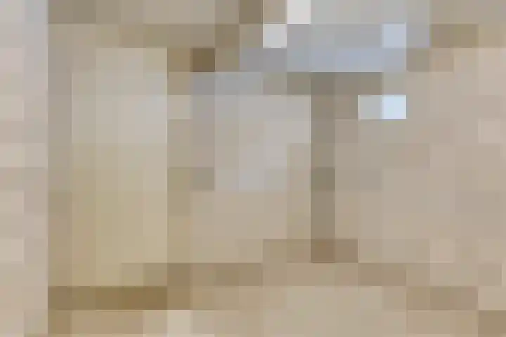 Kaweiseloop 7 Heesch thumbnail 27