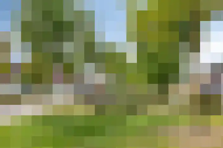 Kaweiseloop 7 Heesch thumbnail 28