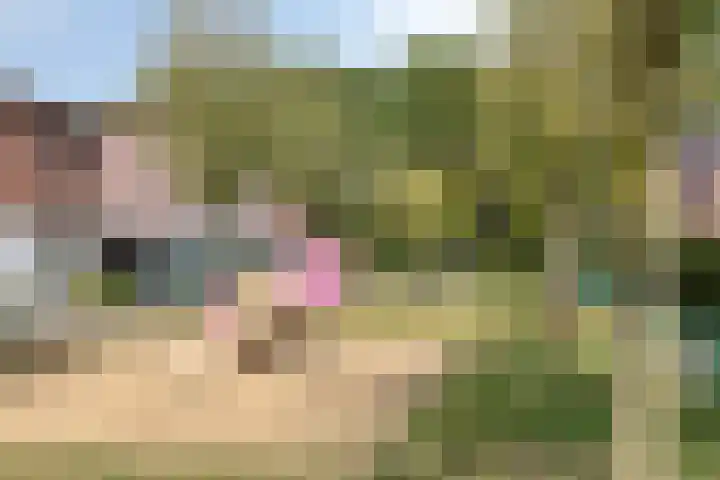 Kaweiseloop 7 Heesch thumbnail 29