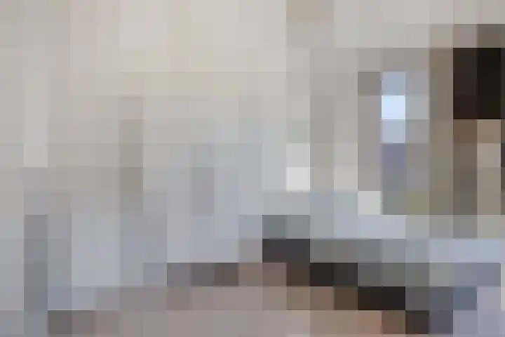 Kaweiseloop 9 Heesch thumbnail 21