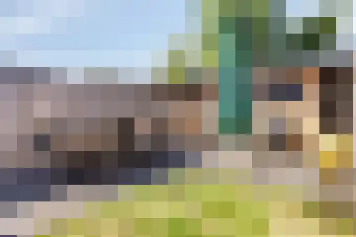 Kaweiseloop 9 Heesch thumbnail 26