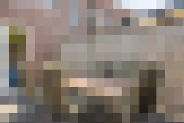 Kaweiseloop 9 Heesch thumbnail 29