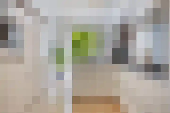 Kaweiseloop 9 Heesch foto 3