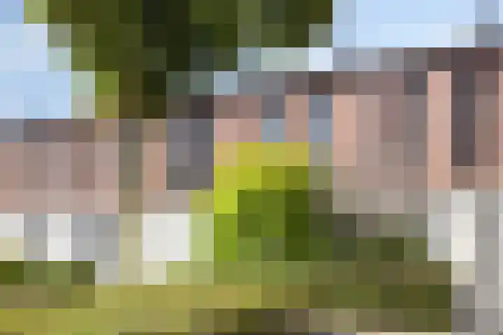 Kaweiseloop 9 Heesch thumbnail 33