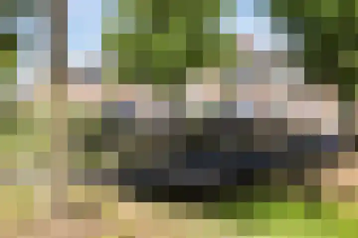 Kaweiseloop 9 Heesch thumbnail 34