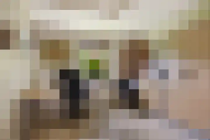 Kawoepersteeg 24 Ermelo thumbnail 19