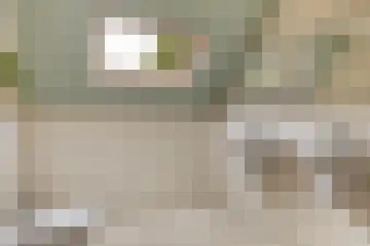 Kawoepersteeg 24 Ermelo thumbnail 31