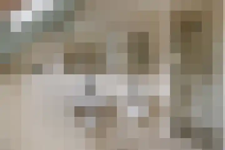 Kawoepersteeg 24 Ermelo thumbnail 32