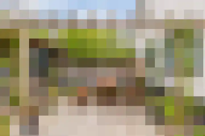 Kawoepersteeg 24 Ermelo thumbnail 36