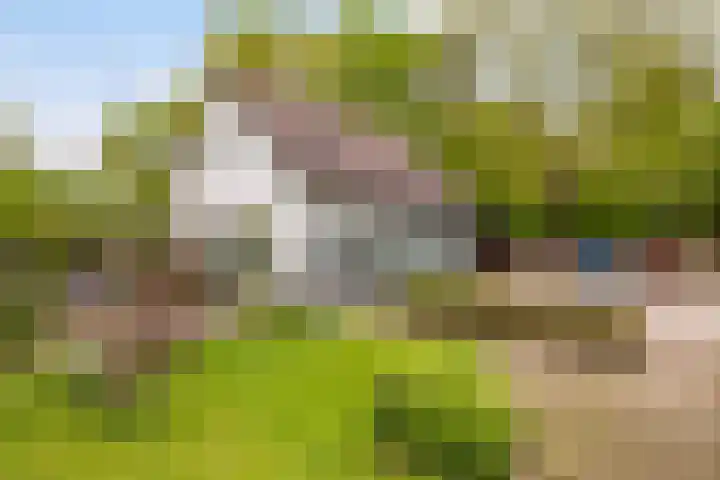 Kawoepersteeg 24 Ermelo thumbnail 37