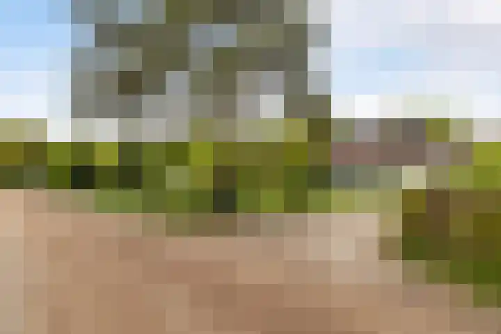 Kawoepersteeg 24 Ermelo thumbnail 40
