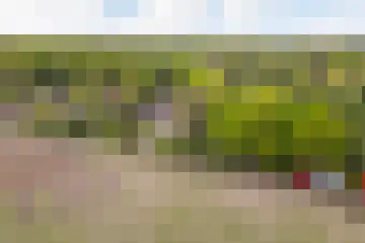 Kawoepersteeg 24 Ermelo thumbnail 48